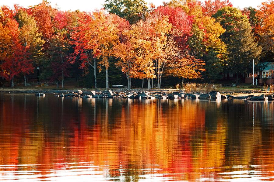 Fall in Maine Photograph by Laurie Bird - Fine Art America