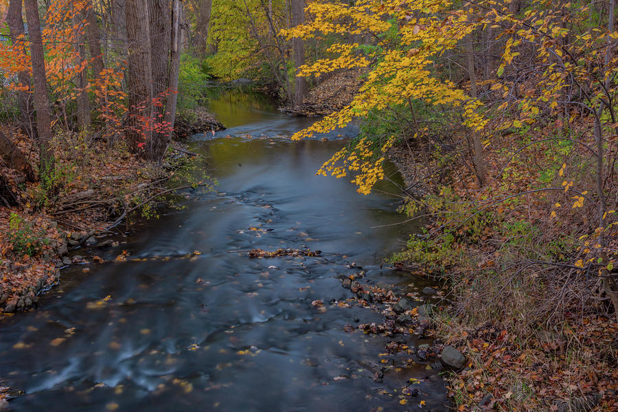 Fall in Michigan 2 Photograph by Pravin Sitaraman
