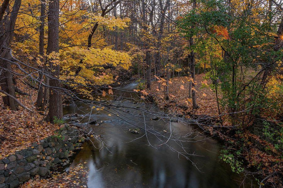 Fall in Michigan 3  Photograph by Pravin Sitaraman
