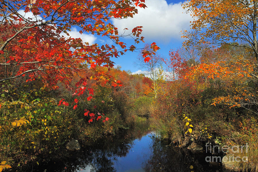 Fall Photograph - Fall in New England 2 by Edward Sobuta