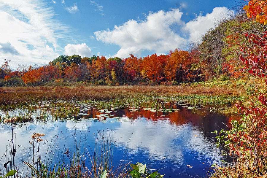 Fall Photograph - Fall in New England 3 by Edward Sobuta