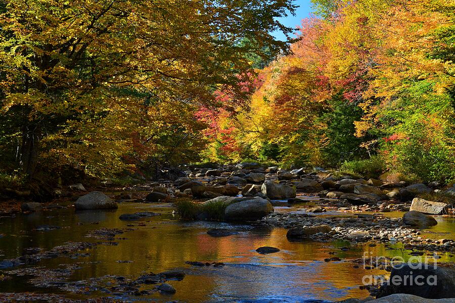 Fall in New Hampshire Photograph by Steve Brown
