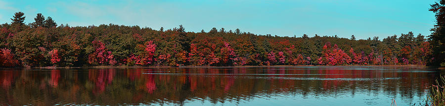 Fall Photograph - Fall In NH by Nora Braun