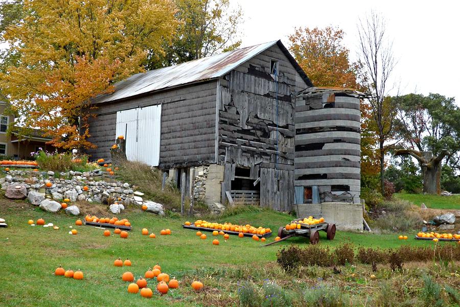 Fall in Northern Michigan Photograph by Scott Ward