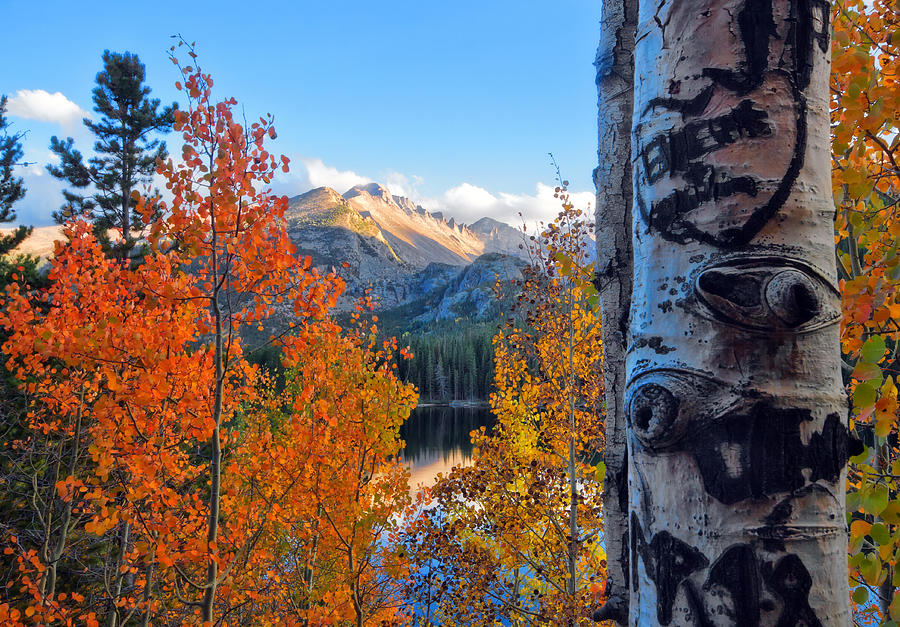Fall in Rocky Mountain National Park Photograph by Ronda Kimbrow