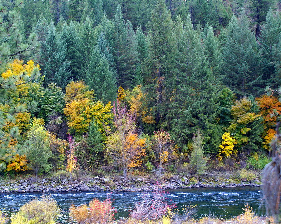 Nature Photograph - Fall in Spokane by Ben Upham III
