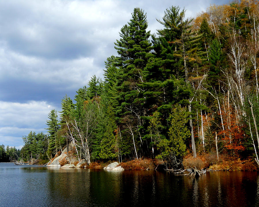 Fall in the Adirondacks 5 Photograph by Maggy Marsh