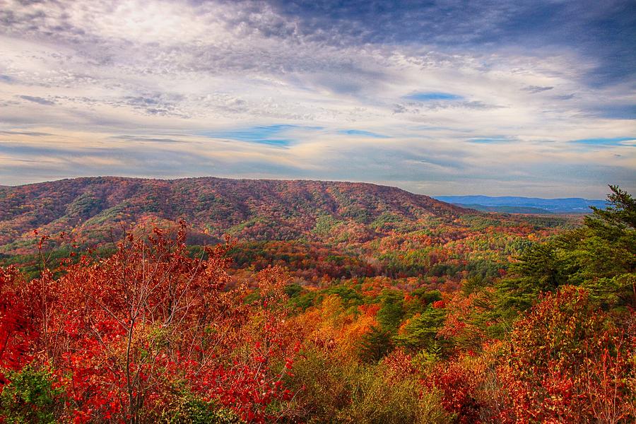 Fall in the Alabama Mountains Photograph by Patrick Moore - Pixels