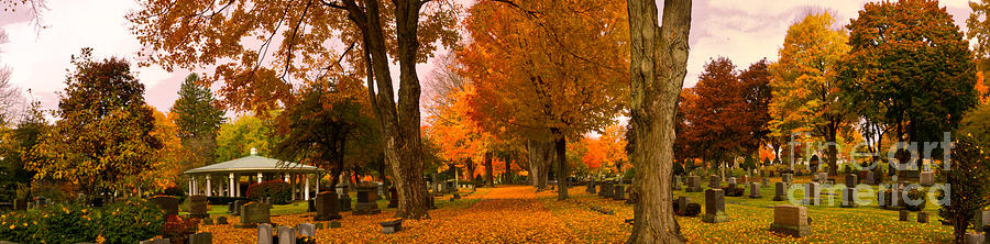 Fall in the Cemetery Photograph by David Bishop