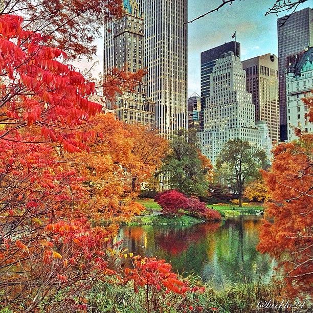 Fall Photograph - Fall In The City  #centralpark #nyc by Hector Lopez ✨