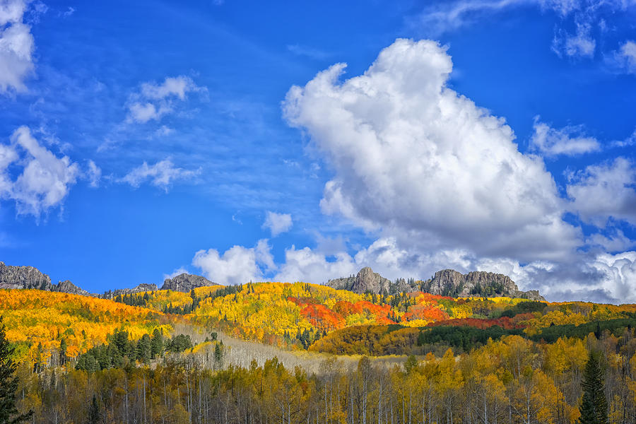 Fall in the Colorado Rockies DSC07378 Photograph by Greg Kluempers