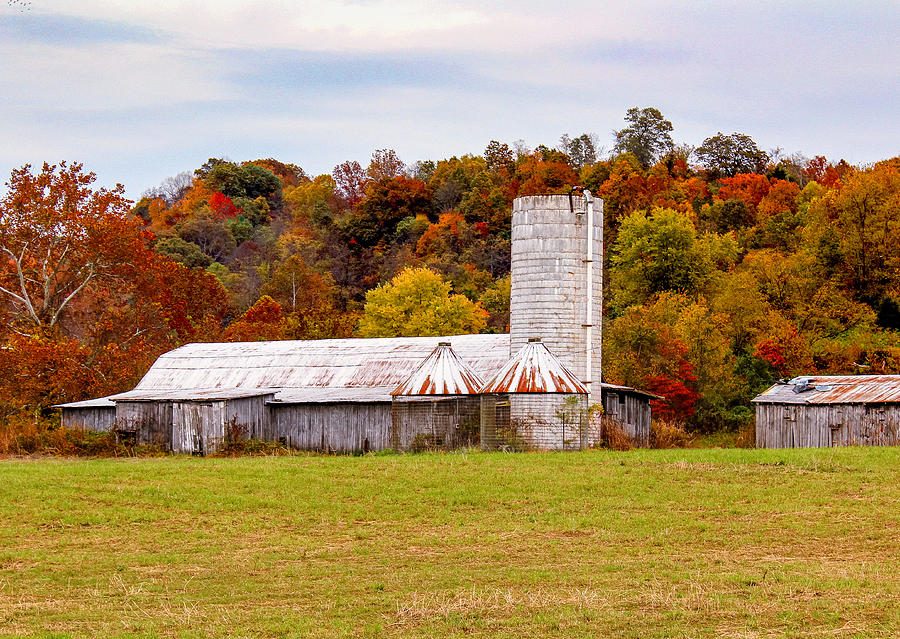 Fall In The Country Photograph by Lorraine Baum