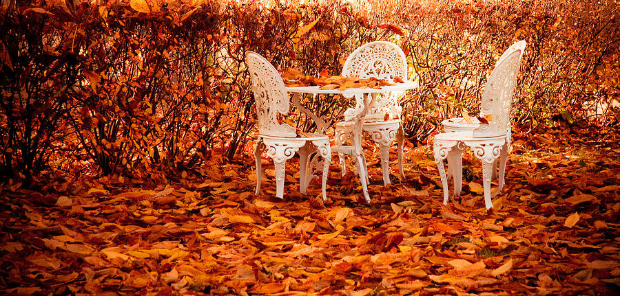 Fall Photograph - Fall in the Garden by Maggie Terlecki