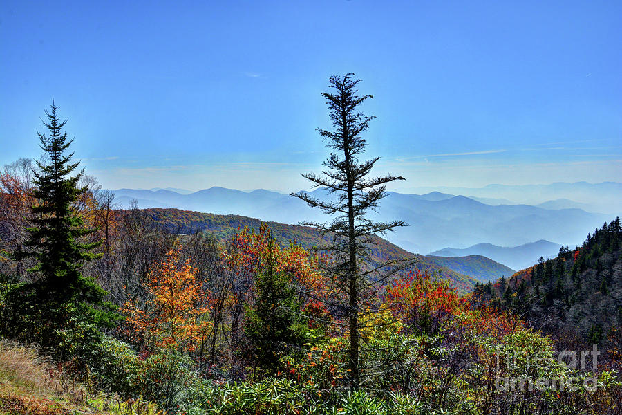 Fall in the Great Smoky Mountains Photograph by Savannah Gibbs