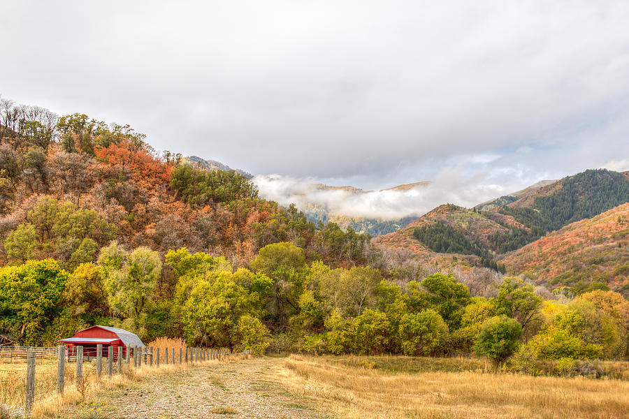 Fall Photograph - Fall In The Mountains by Kristina Rinell