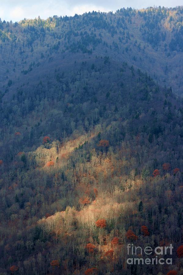 Fall in the Mountains Photograph by Robert Wilder Jr