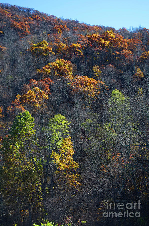 Fall In The Mountains Photograph by Skip Willits