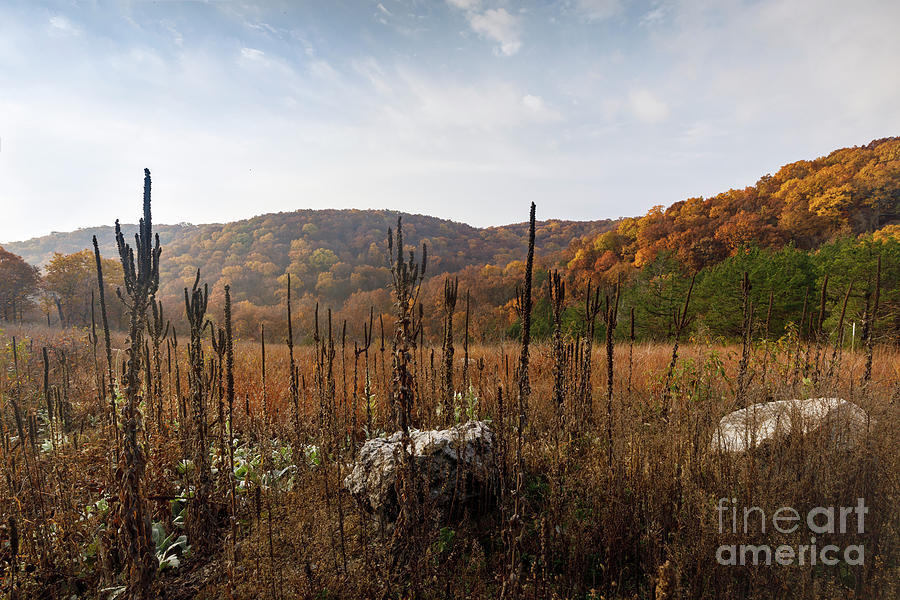Fall in the Ozarks Photograph by Dennis Hedberg