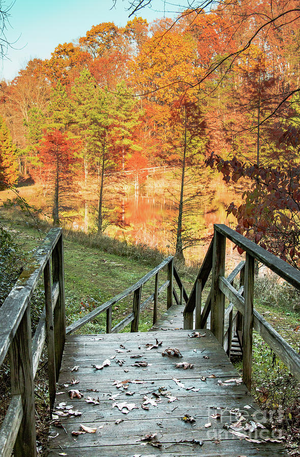 Fall In The Park Photograph by Edie Ann Mendenhall | Fine Art America