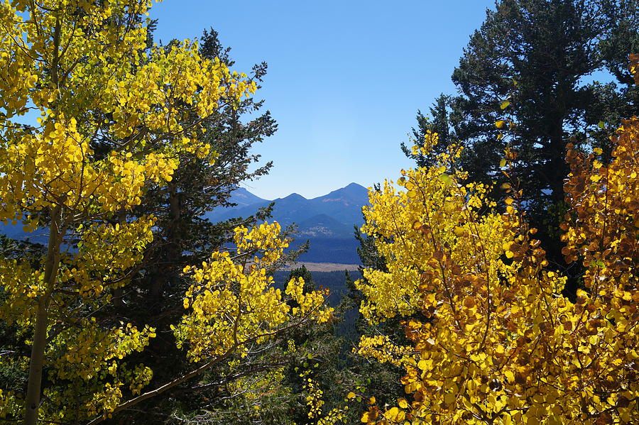 Fall in the Rockies by Broderick Delaney Fall in the Rockies by Broderick Delaney