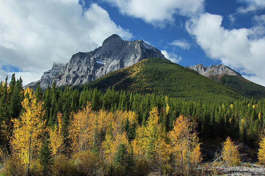 Fall in the Rockies Photograph by Celine Pollard