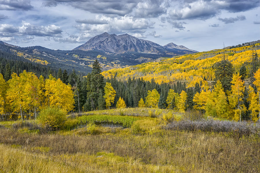 Fall in the Rockies Colorado DSC07164-5 Photograph by Greg Kluempers