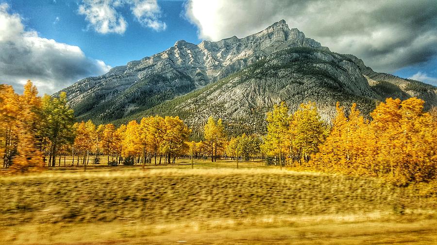 Fall in the Rockies  Photograph by Nadia Seme
