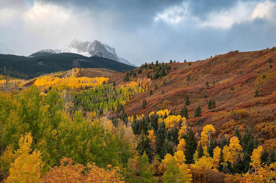 Fall in the Rockies Photograph by Steve Stuller
