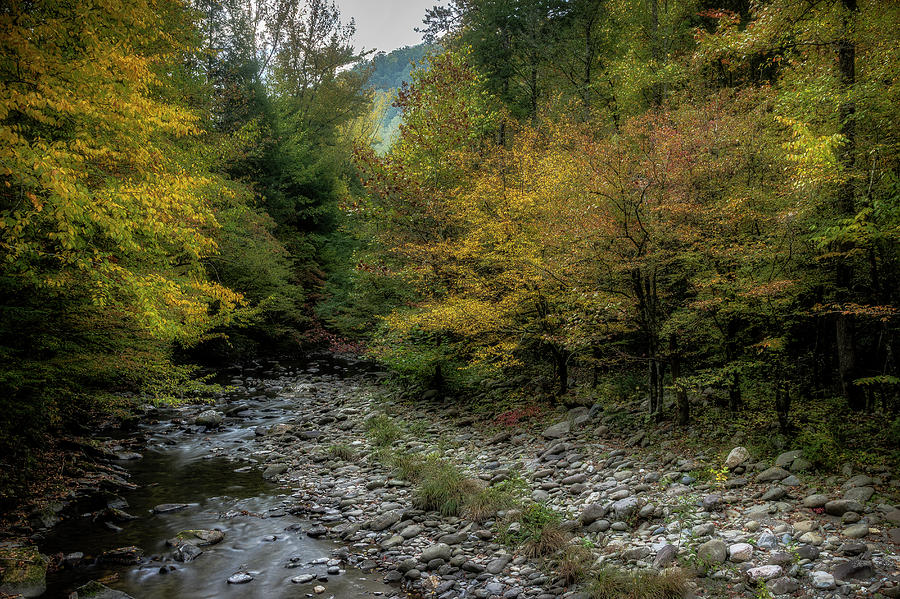 Fall In The Smokies Photograph by Mike Eingle