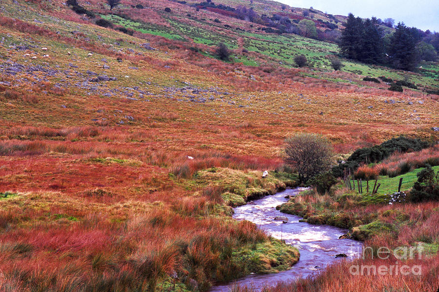 Fall in the Sperrin Mountains Photograph by Thomas R Fletcher