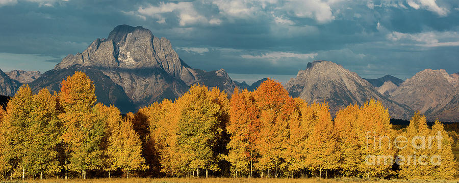 Fall In The Tetons Photograph by Brad Schwarm Fall In The Tetons Photograph by Brad Schwarm