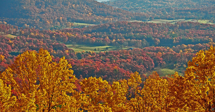 Fall Photograph - Fall in the valley by Itai Minovitz