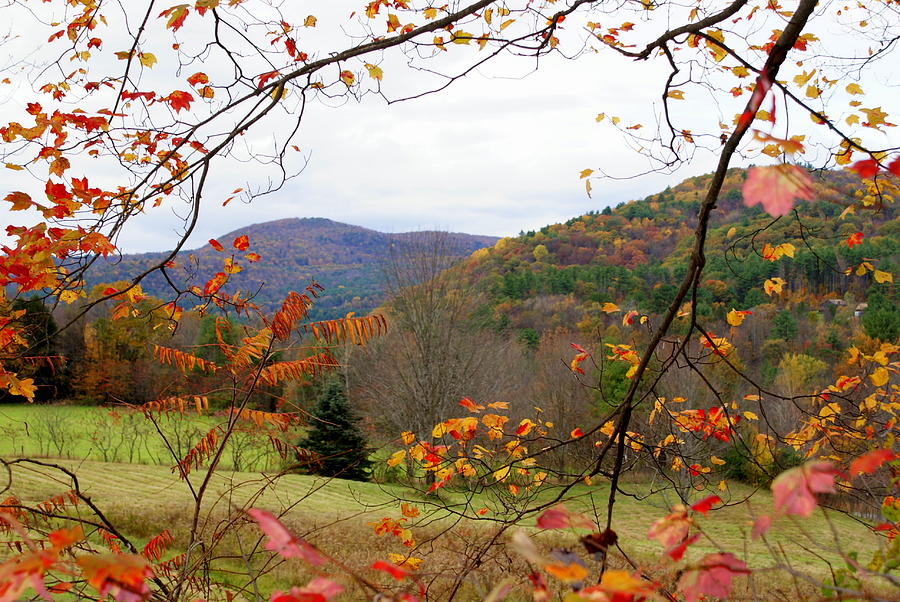 Fall Photograph - Fall in Vermont by Lois Lepisto