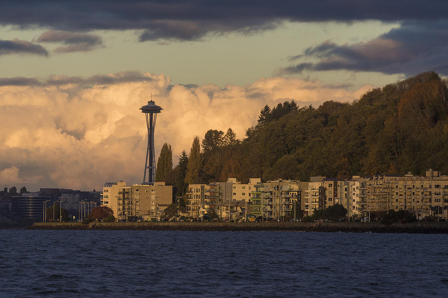 Fall in West Seattle Photograph by Matt McDonald