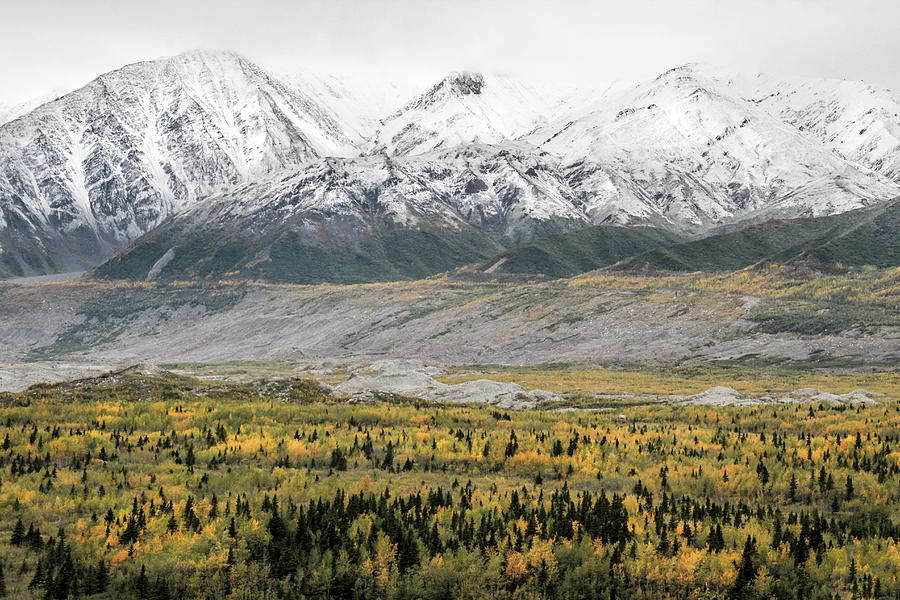 Fall in Wrangell - St. Elias Photograph by Marla Craven
