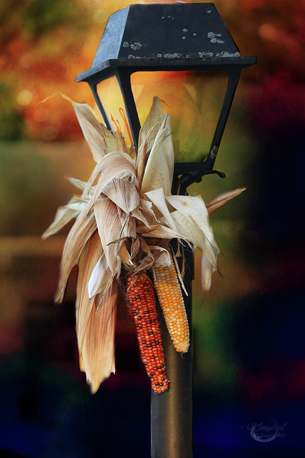Fall Is Coming Digital Art by Theresa Campbell