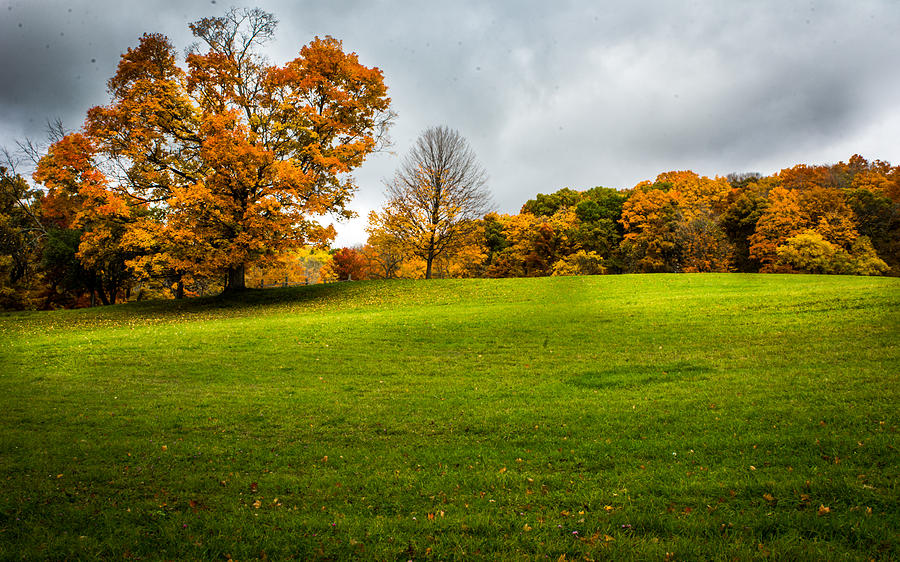 Fall is here Photograph by Laimis Urbonas - Fine Art America