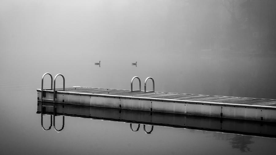Bird Photograph - Fall Lake by Glenn DiPaola