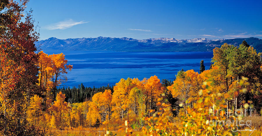 Fall Lake Tahoe Photograph by Vance Fox - Fine Art America