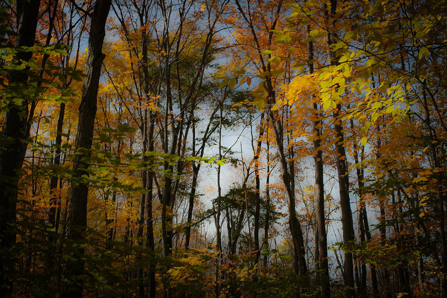 Fall landscape Photograph by Joseph Skalny Fall landscape Photograph by Joseph Skalny