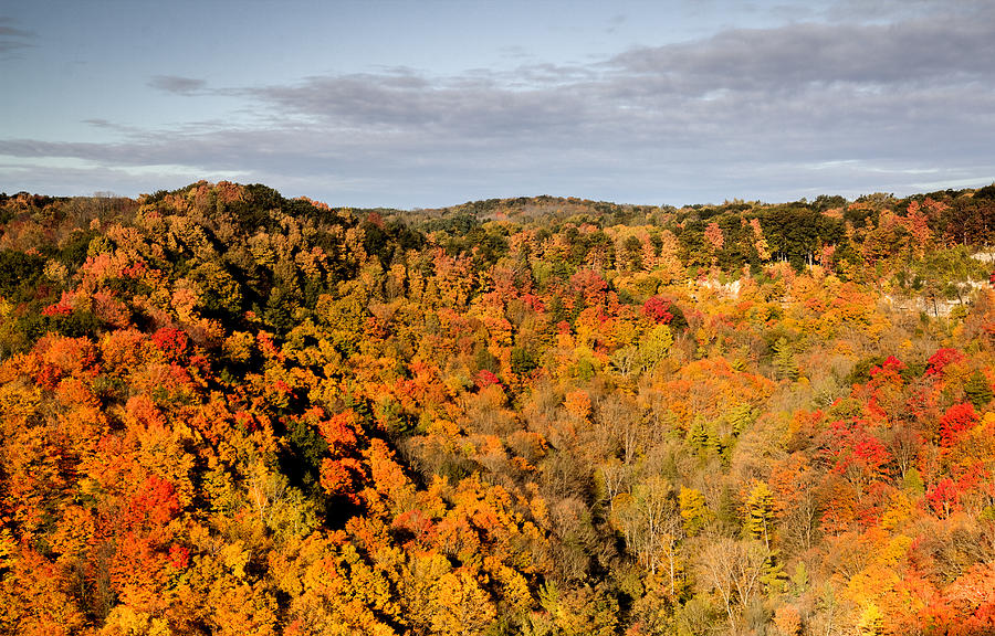 Fall Landscape Photograph by Nick Mares