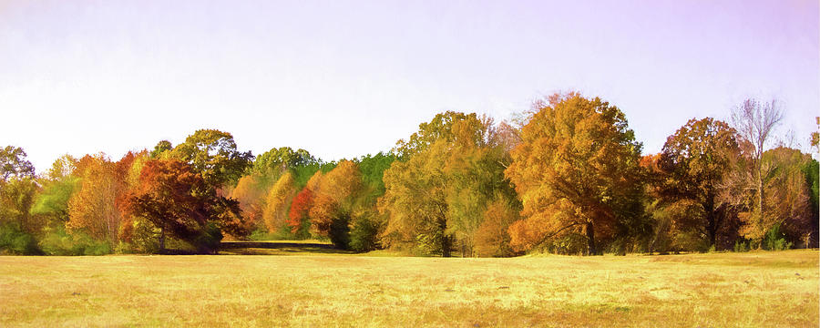 Fall Landscape Panorama Photograph by Barry Jones