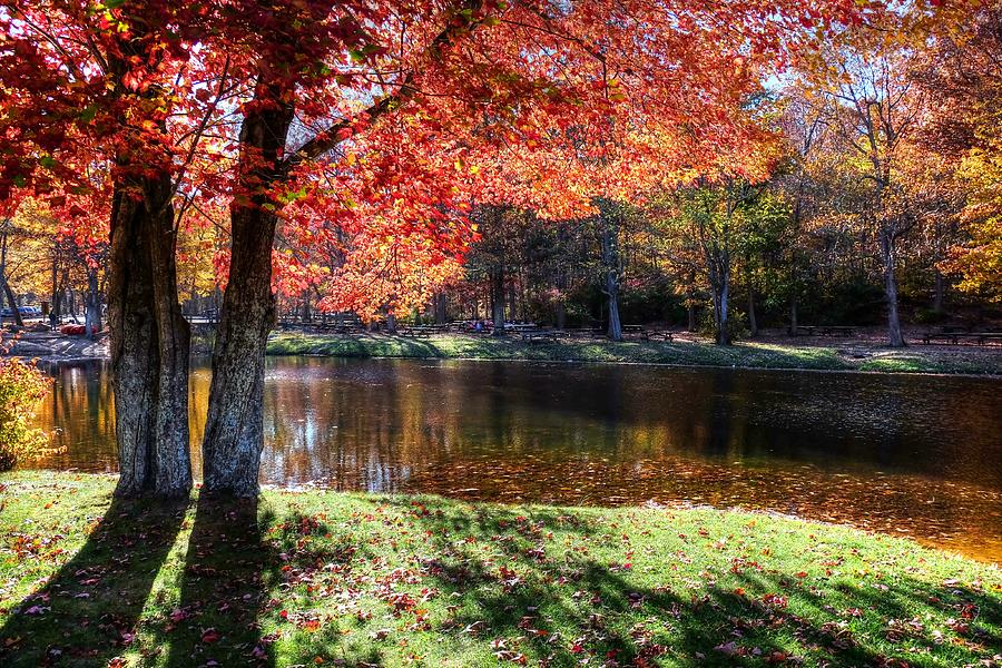 Fall landscape Photograph by Ronda Ryan