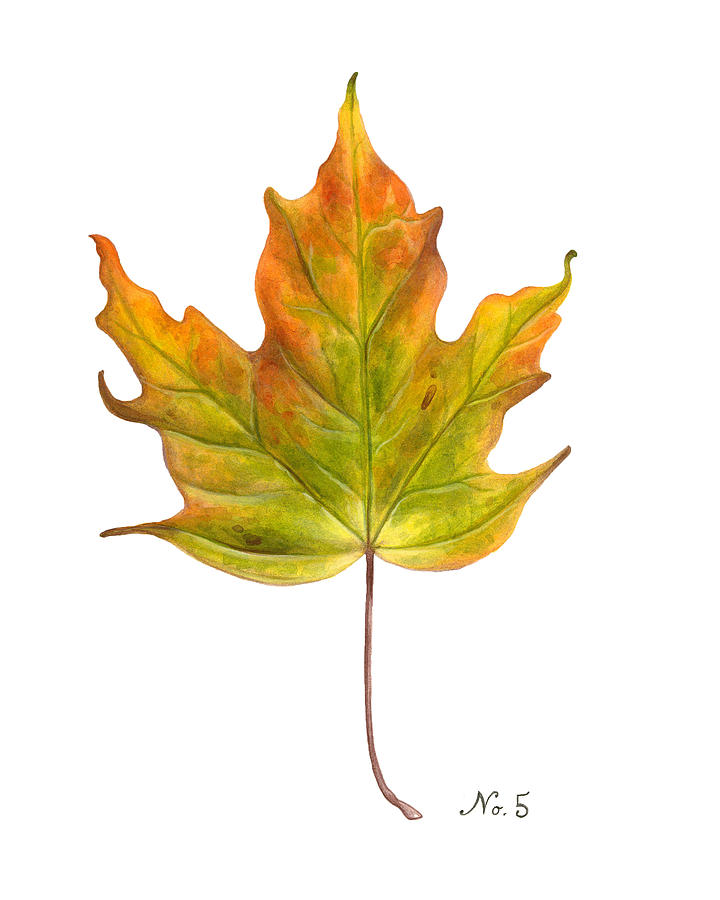 Fall Painting - Fall Leaf No. 5 by Kelsey Wilson