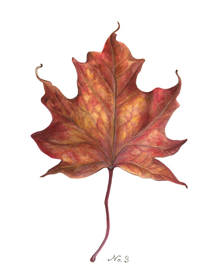 Fall Painting - Fall Leaf No.3 by Kelsey Wilson