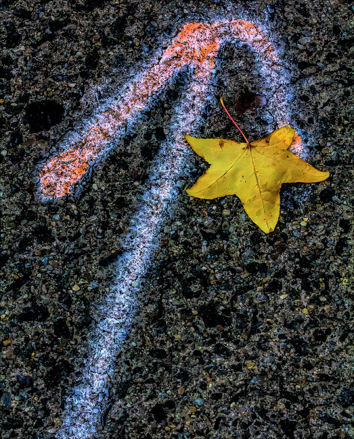 Fall Leaf on Sidewalk Photograph by Robert Ullmann