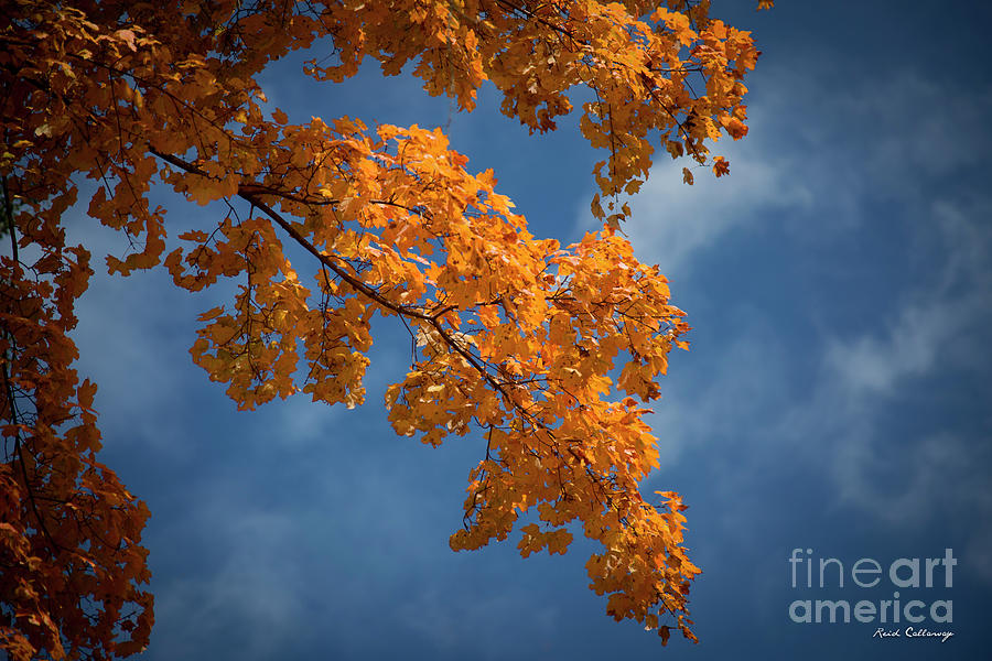 Fall Leaves 9 Autumn Leaf Colors Art Photograph by Reid Callaway