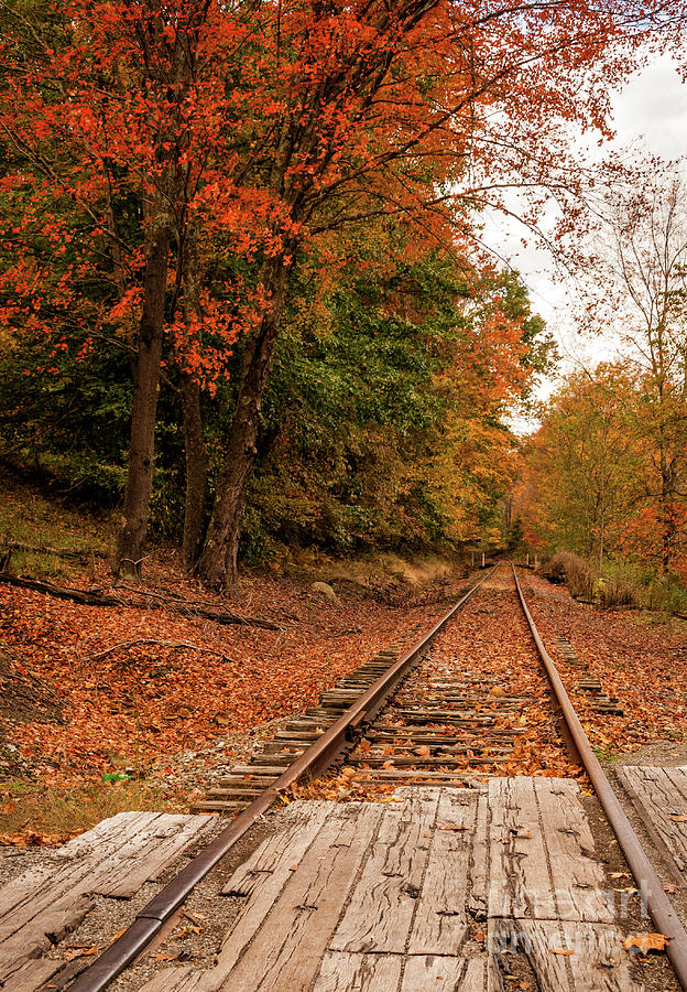Fall Leaves And Train Track Wv Photograph