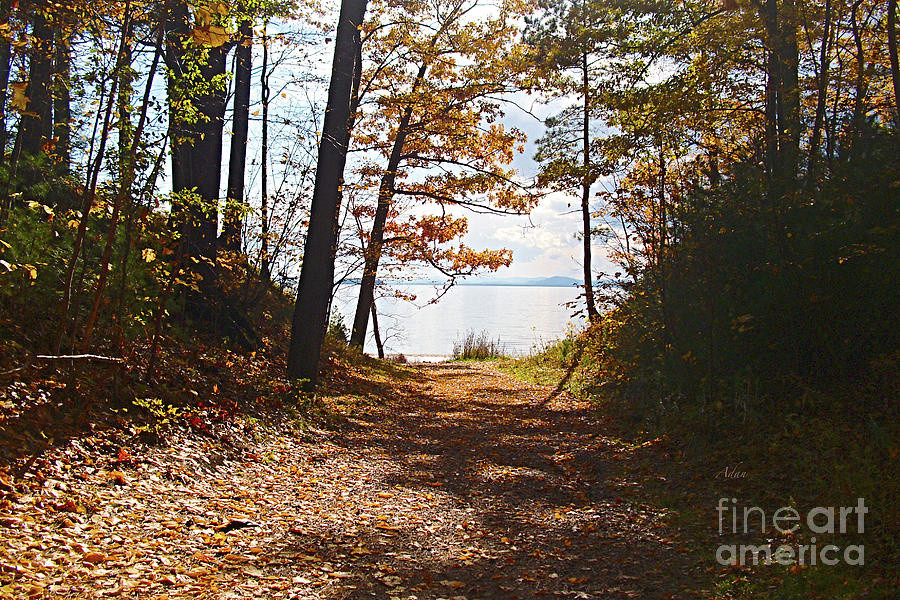 Fall Leaves at Leddy Park Lake Champlain Vermont Photograph by Felipe Adan Lerma