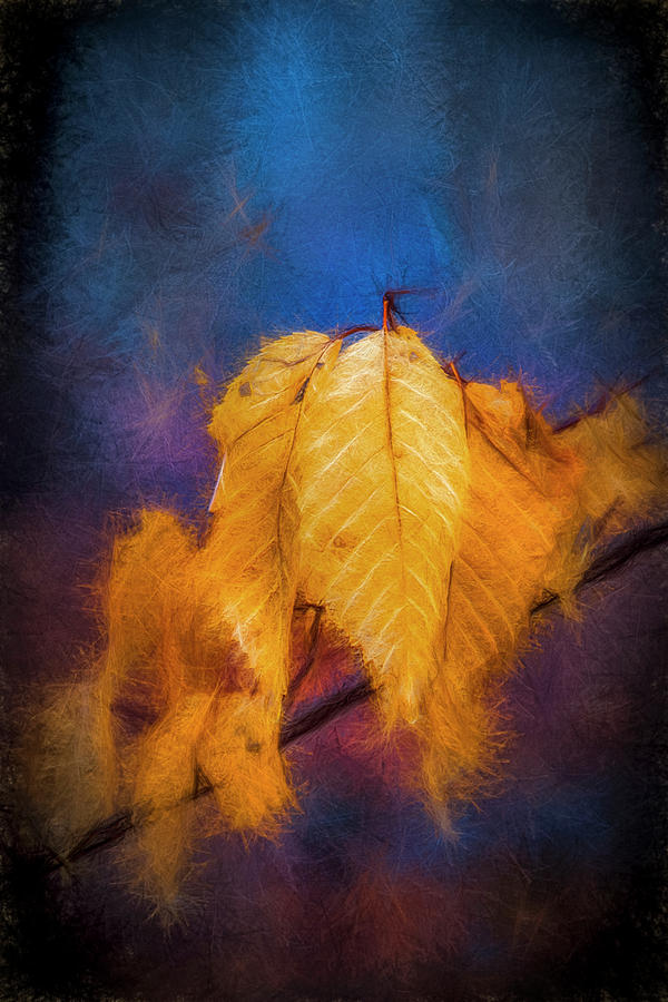 Fall Leaves Digital Art by Celso Bressan